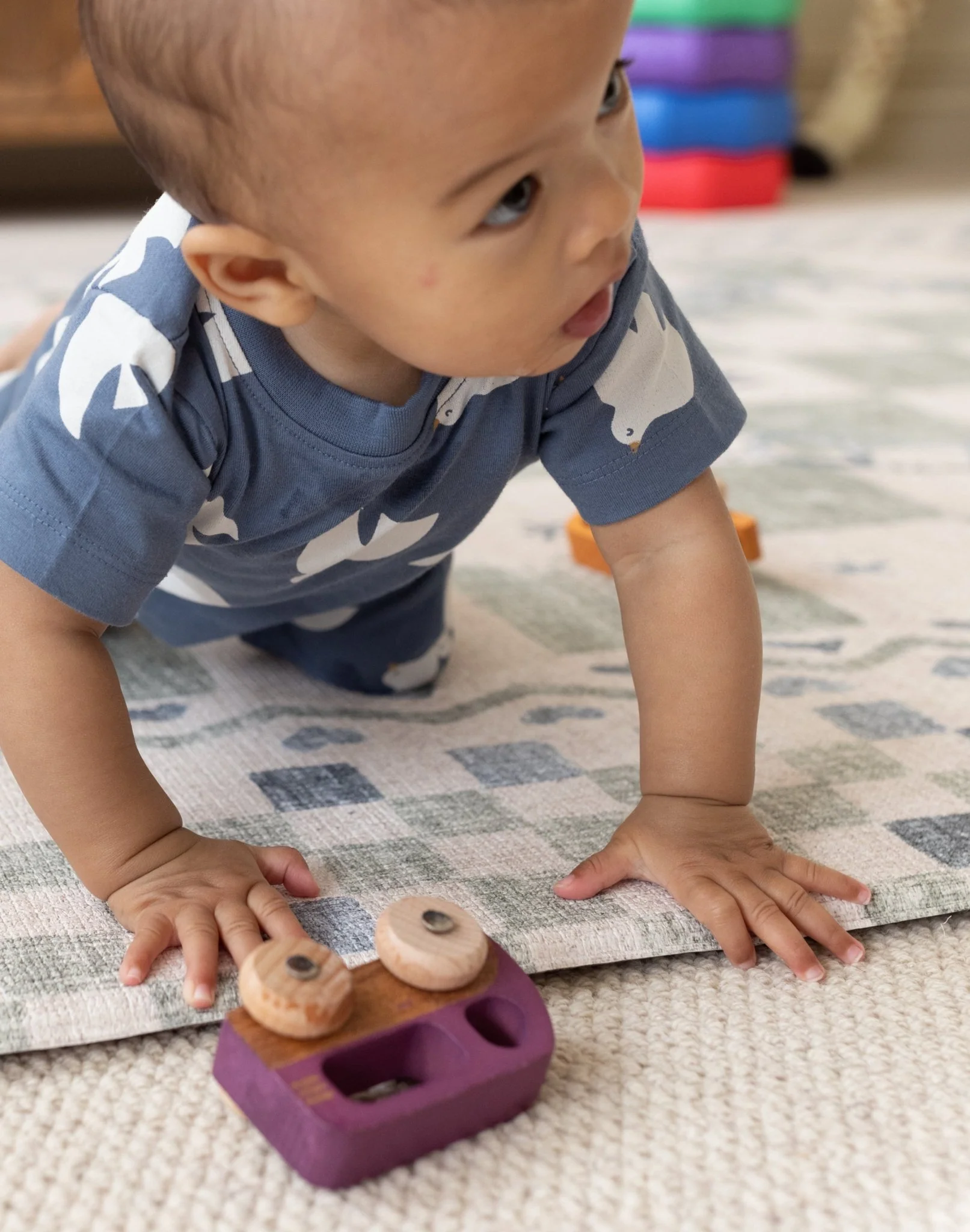 The Checker Playmat - Image 13